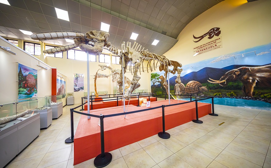 Museo de Paleontología y Arqueología de Estanzuela