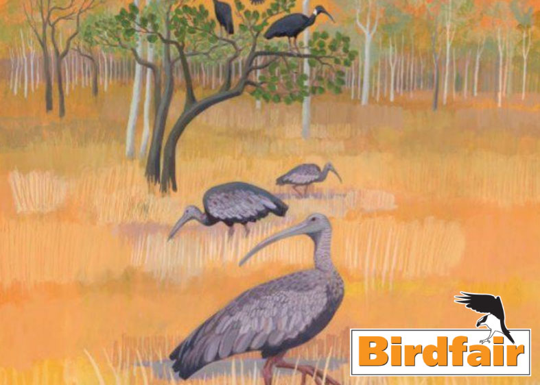 British Birdwatching Fair 16 al 18 de agosto, en Egleton, Londres