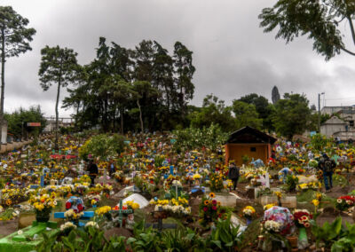 Flores que Hablan al Silencio. Luis Noriega - Sumpango Sacatepéquez, Sacatepéquez.