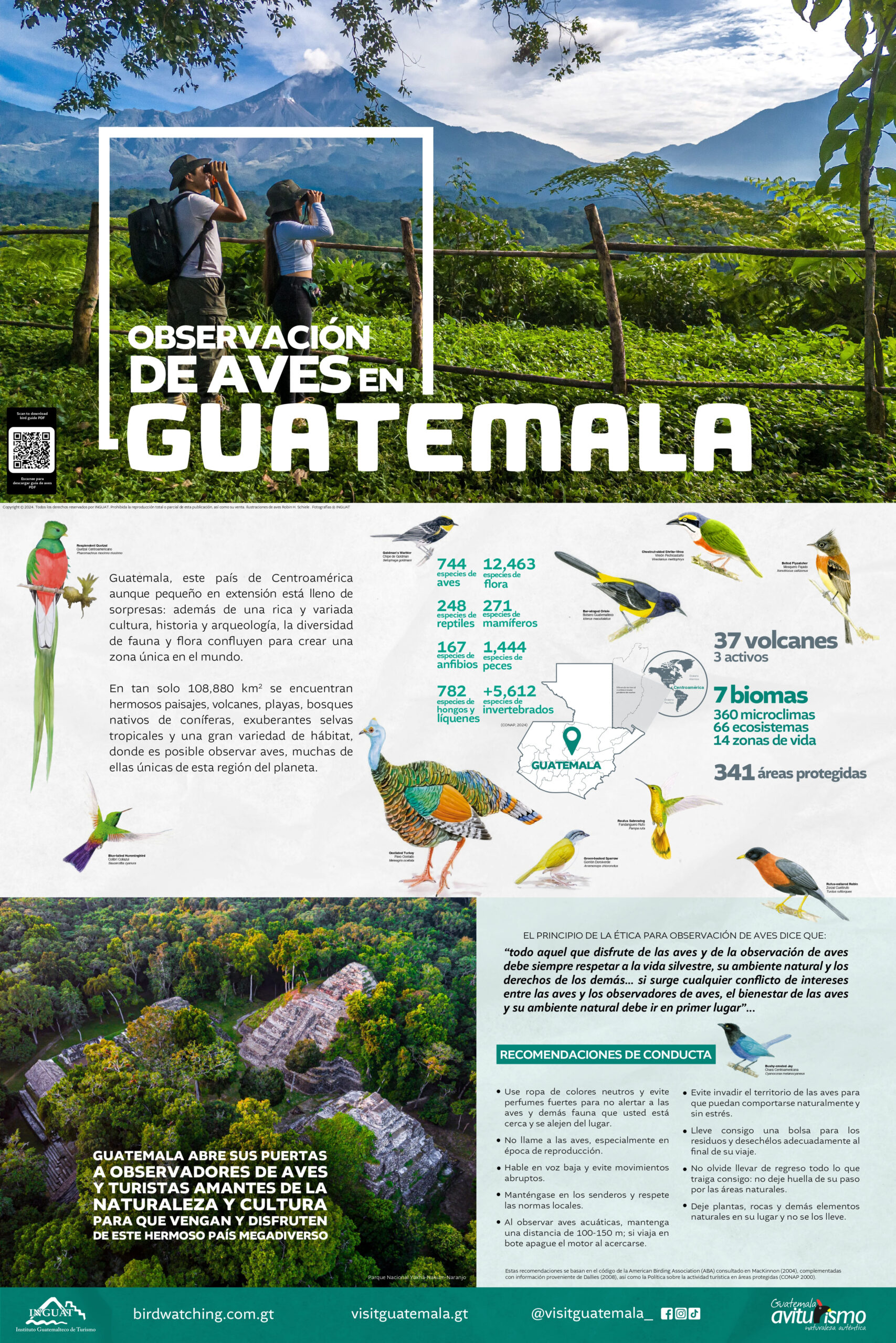 Aves Emblemáticas de Guatemala