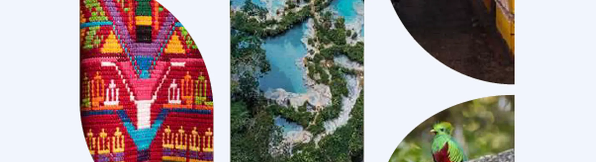 Guías turísticas